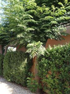 Natalie rooms 2 plaka drepano Ευρύχωρο και δροσερό