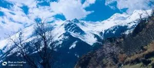 THE SOUL HOMESTAY n RESTRO - Pulga