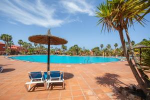 Oasis Bahia Fronte Piscine