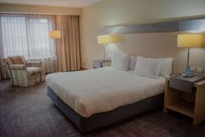 Radisson Hotel Puerto Varas