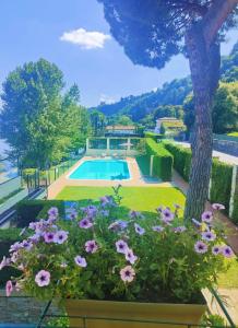 Scarlet Flower - Lago Maggiore