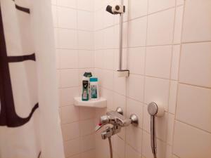 Taideniityn Maa 1 - 4lle