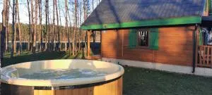 Domek na Mazurach w zagajniku przy jeziorze - Zielonken