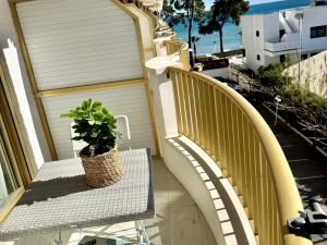 APARTBEACH INTERNACIONAL y VISTAS PLAYA