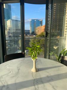 City Views Apartment with Free Parking