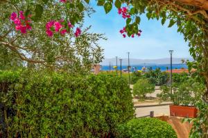 Mazzini Apartment img23