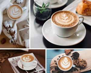 Hotels Hotel L'Alsace : photos des chambres