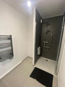 Le Refuge du Plongeur - Appartement