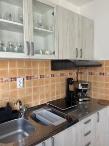 Guesthouse Vladimir & Ana