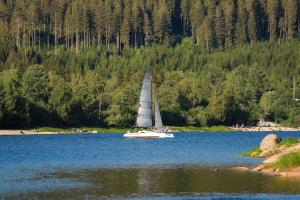 Gemütliches Ferienreihenhaus mit Holzkamin im Schwarzwald