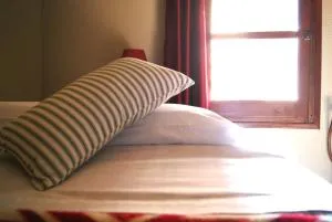 Ave Fénix - Mazaleón