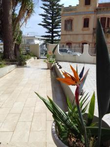 La casetta di rosario mondello