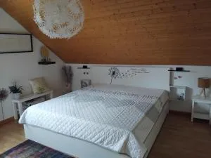 Ferienwohnung Monteurwohnung Pusteblume - Fuhrbach