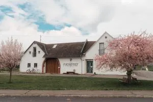 Südburgenland Vierkanthof - Weichselbaum