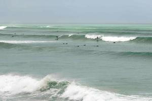 Muizenberg Apartment