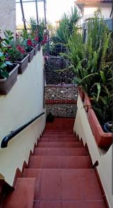 La Rosa Dei Venti Guest House