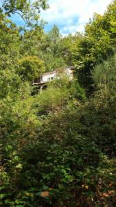 Tiny House - La Foret du Dragon