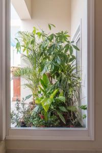 Central Sunset View - City Center Cagliari img13