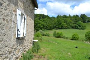 Maisons de vacances Le bois de Lafon : photos des chambres
