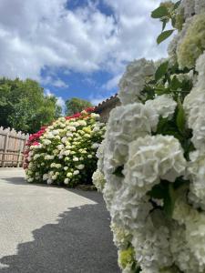 B&B / Chambres d'hotes Au Petit Bignon : photos des chambres