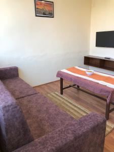 Zenith Apartments Thamel - Everest 1BHK Apartment