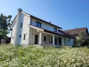 White House - Unguraş