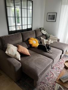 Appartements Superbe appartement lumineux en rez de jardin : Appartement 1 Chambre