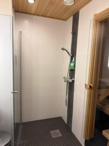 Kylpyla SPA, Saimaa Villa 532