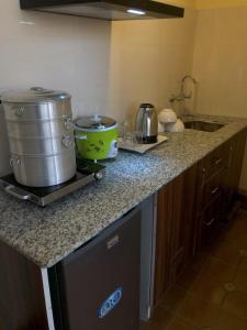 ZenithApartmentsThamel-Kanchenjunga 1BHK Apartment