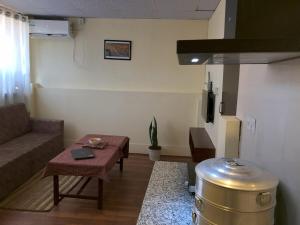 ZenithApartmentsThamel-Kanchenjunga 1BHK Apartment