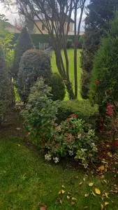 Cal Más de la Vanera - Palau-de-Cerdagne