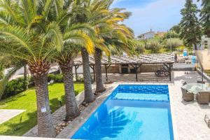 Albero Villa Polychrono