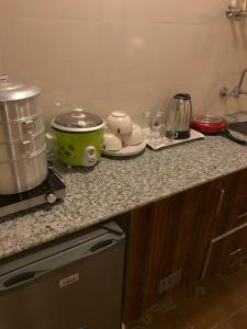 Zenith Apartments Thamel - Cho Oyu 1BHK Apartment