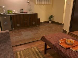 Zenith Apartments Thamel - Cho Oyu 1BHK Apartment