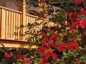Appartamento con Vista Giardino
