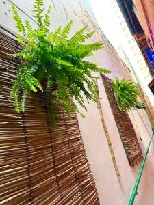 Pinheiros Hostel & Food