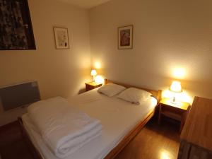 Appartement skis aux pieds pour 6 pers., animaux admis, vue sur les pistes - FR-1-445-99