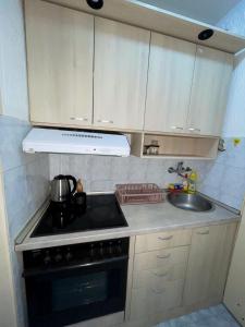 Slavija McD apartment