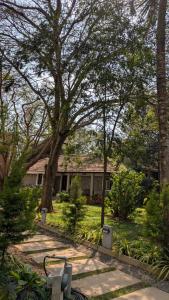 Aranyeh People Tree Resort