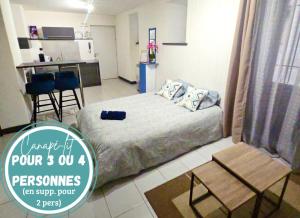 Agréable t2 calme centre-ville Cahors