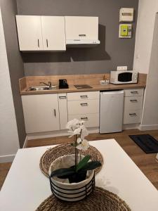 Appartement centre ville