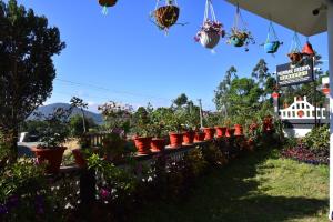 Munnar Dreams Homestay For Kolukkumalai Tourists