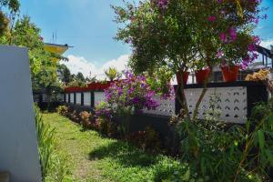 Munnar Dreams Homestay For Kolukkumalai Tourists