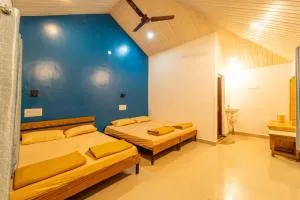 Jungle Haven Dandeli - Данделі