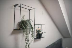 Square Studios