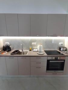 Modern 2 bedroom Apartment near Kallimarmaro and Alsos