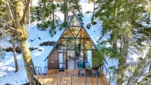 Small Forest - Machakhela