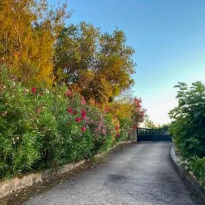 Domaine Mare e Monti - T1 Le Maquis - Albitreccia