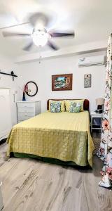 The coconut Palm Villa- with wifi and Pool