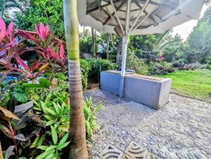 The coconut Palm Villa- with wifi and Pool